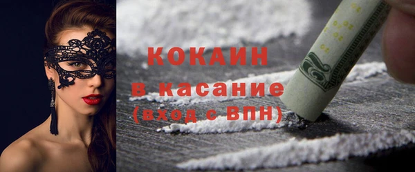 гашик Верея