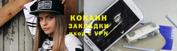 индика Саяногорск