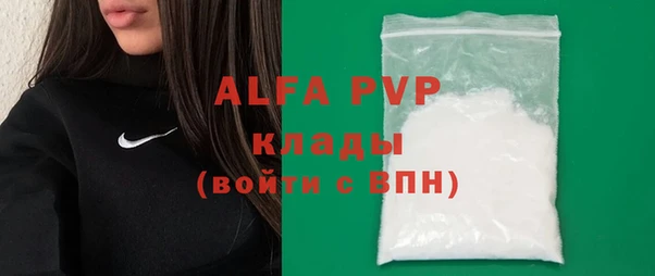 гашик Верея