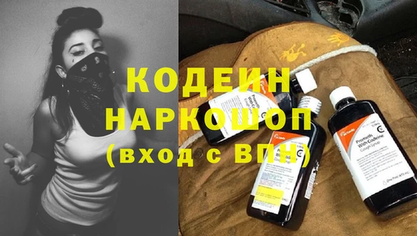 гашик Верея