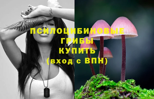 гашик Верея