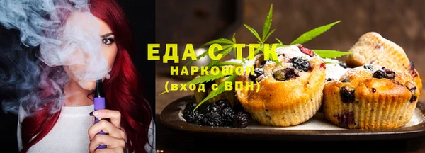 гашик Верея